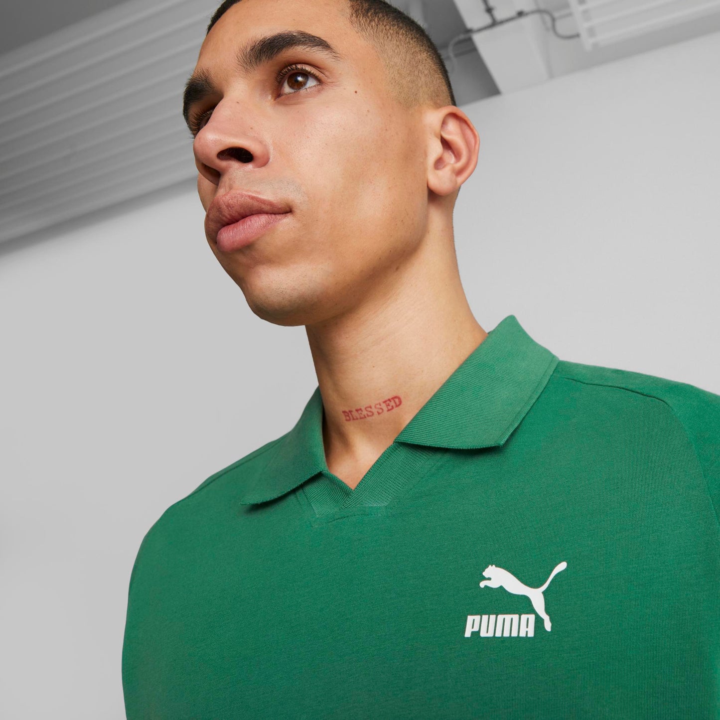 CLASSICS V-COLLAR POLO (Vine)