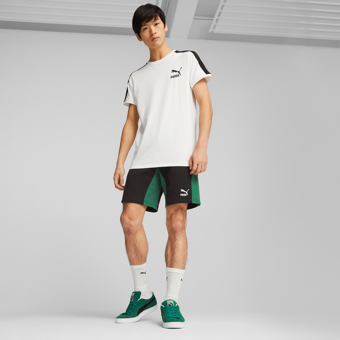 CLASSICS BLOCK SHORTS 8" TR (PUMA Black-Vine)