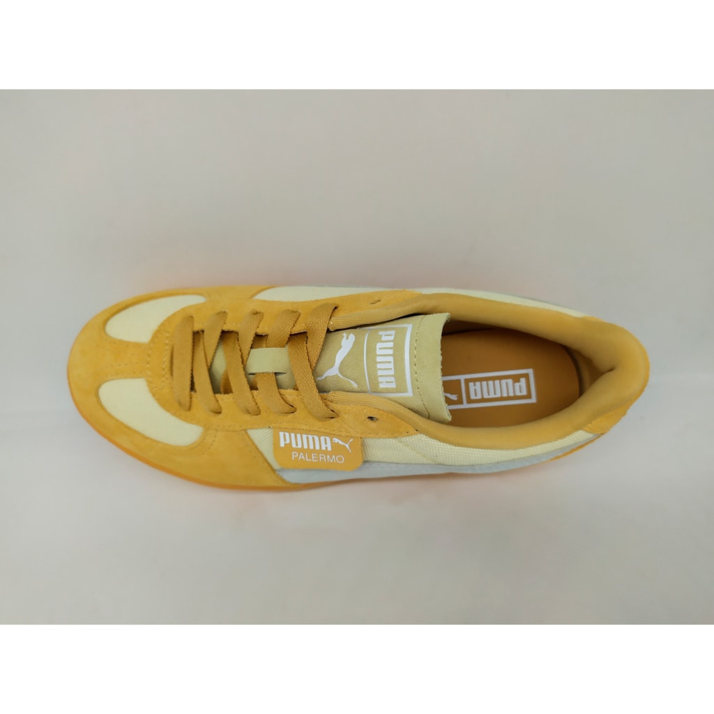 PALERMO ELEVATA XTRA WNS (Creamy Vanilla-Almost Apricot)